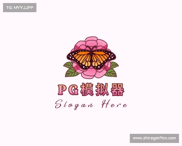 认识PG模拟器